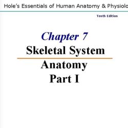 Human anatomy & physiology tenth edition