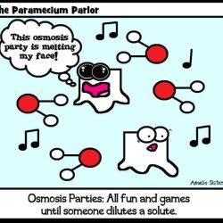 Traveling molecules amoeba sisters answers