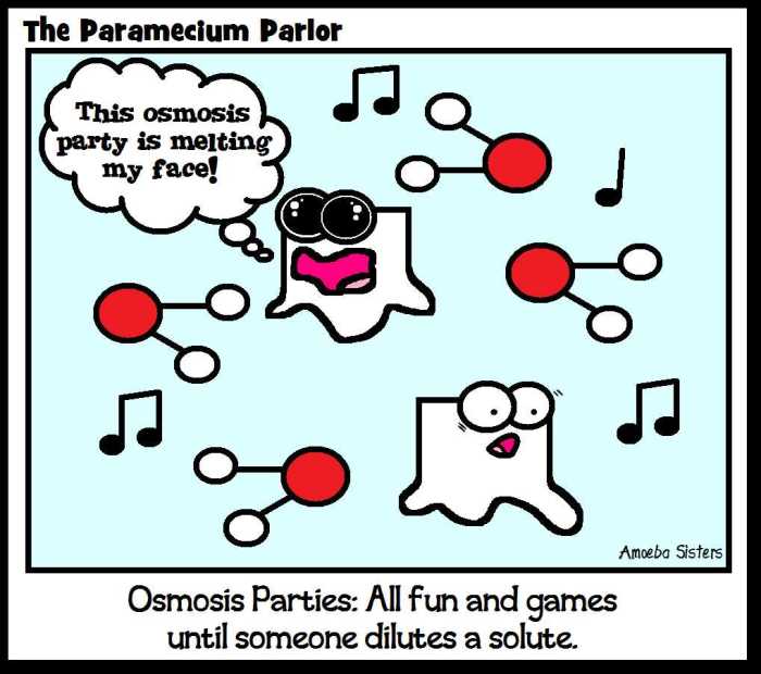 Traveling molecules amoeba sisters answers