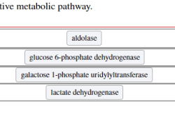 Glucose metabolic converted pathways gln lipids pathway fatty acids dhap glycolysis coa g3p acetyl pyruvate oxaloacetate synthesize citrate glutamate dehydrogenase