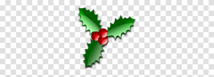 Deck the halls with boughs of holly crossword